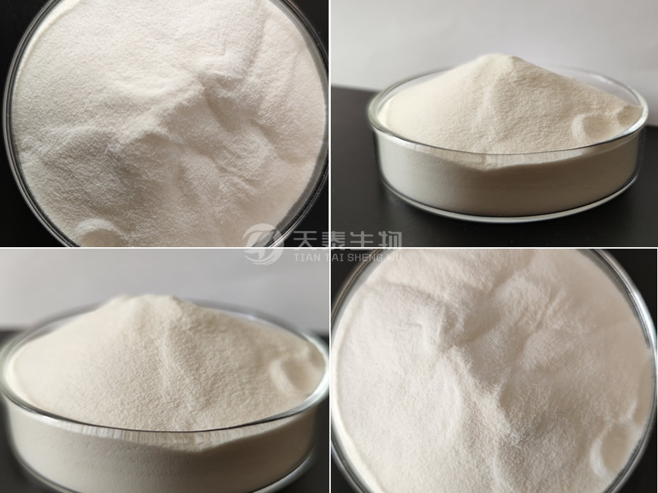 膠原蛋白組圖.jpg